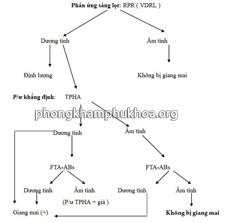 Trình tự xét nghiệm giang mai bằng thử máu