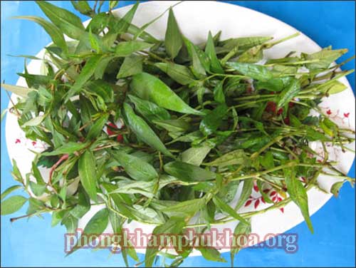 cach-pha-thai-tu-nhien-bang-rau-ram