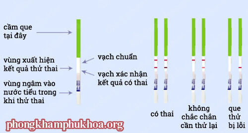 cach-su-dung-que-thu-thai-chinh-xac-nhat