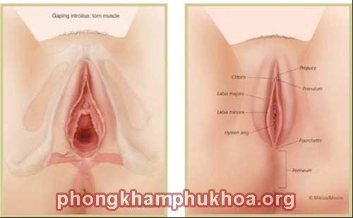 cach-thu-nho-am-dao-thu-hep-vung-kin