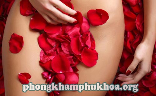 kinh-nghiem-va-mang-trinh